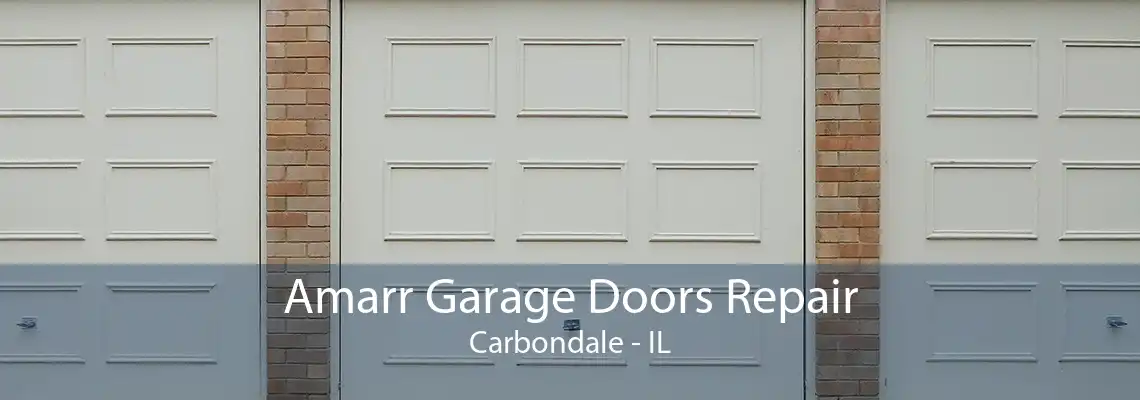 Amarr Garage Doors Repair Carbondale - IL