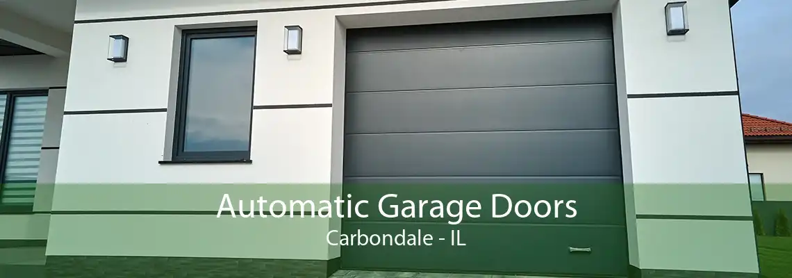 Automatic Garage Doors Carbondale - IL