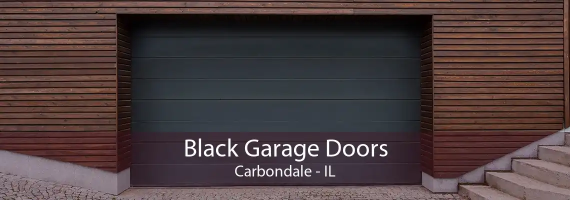 Black Garage Doors Carbondale - IL