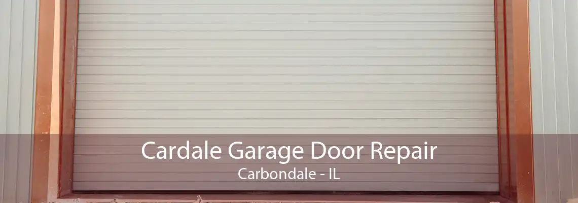 Cardale Garage Door Repair Carbondale - IL