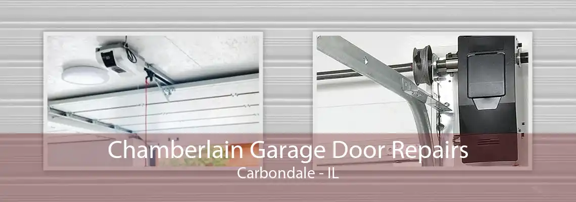 Chamberlain Garage Door Repairs Carbondale - IL