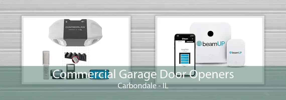 Commercial Garage Door Openers Carbondale - IL