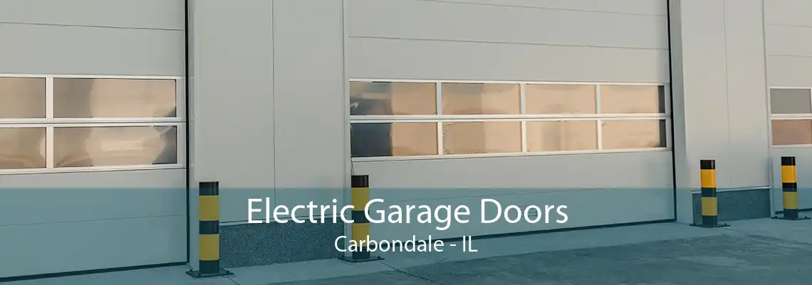 Electric Garage Doors Carbondale - IL