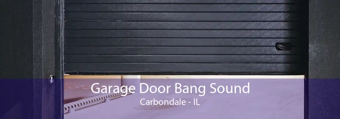 Garage Door Bang Sound Carbondale - IL