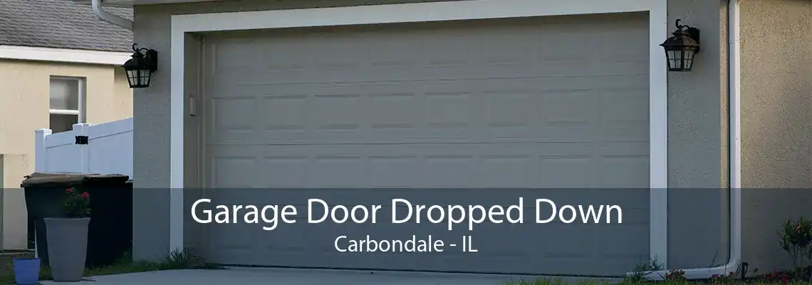 Garage Door Dropped Down Carbondale - IL