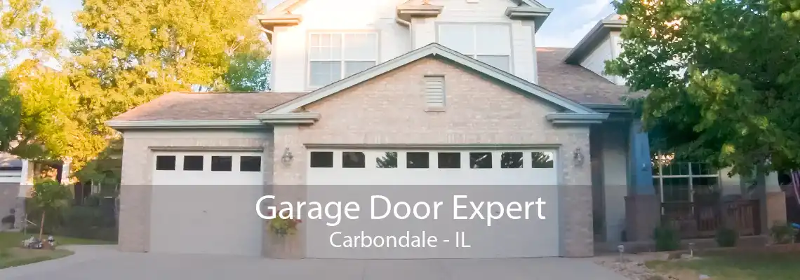 Garage Door Expert Carbondale - IL