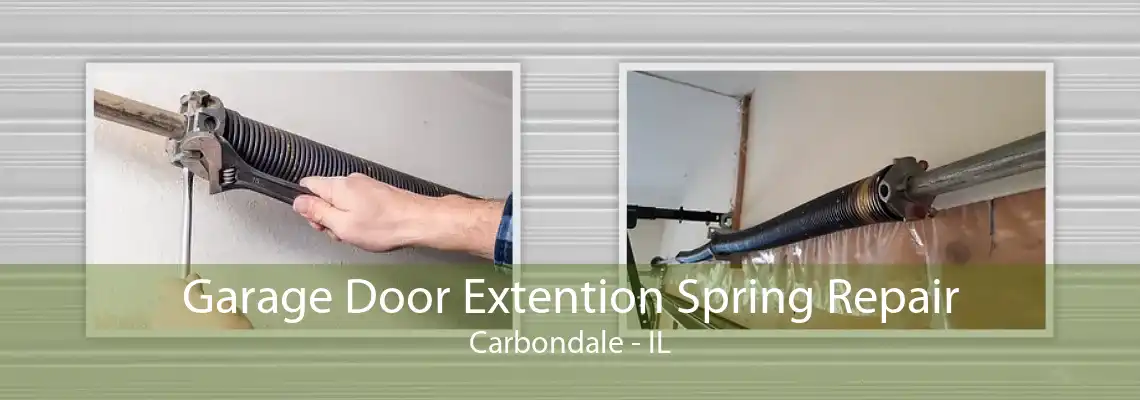 Garage Door Extention Spring Repair Carbondale - IL