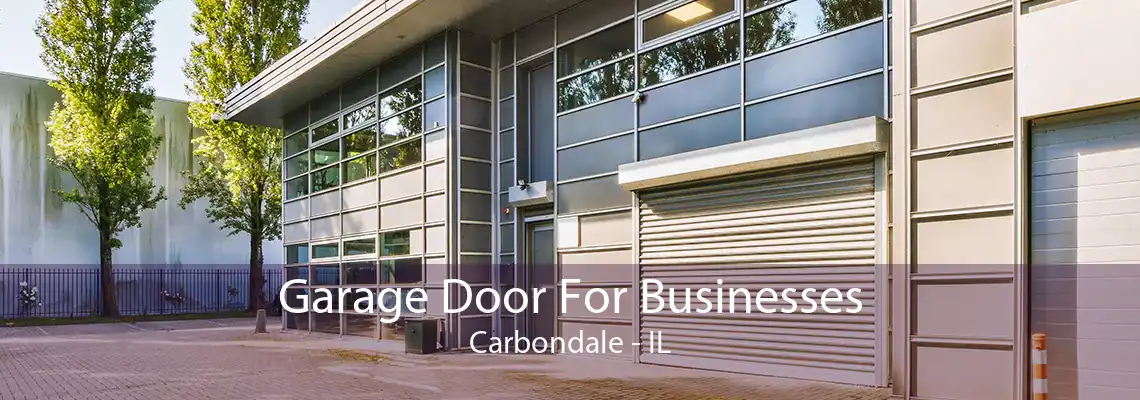 Garage Door For Businesses Carbondale - IL