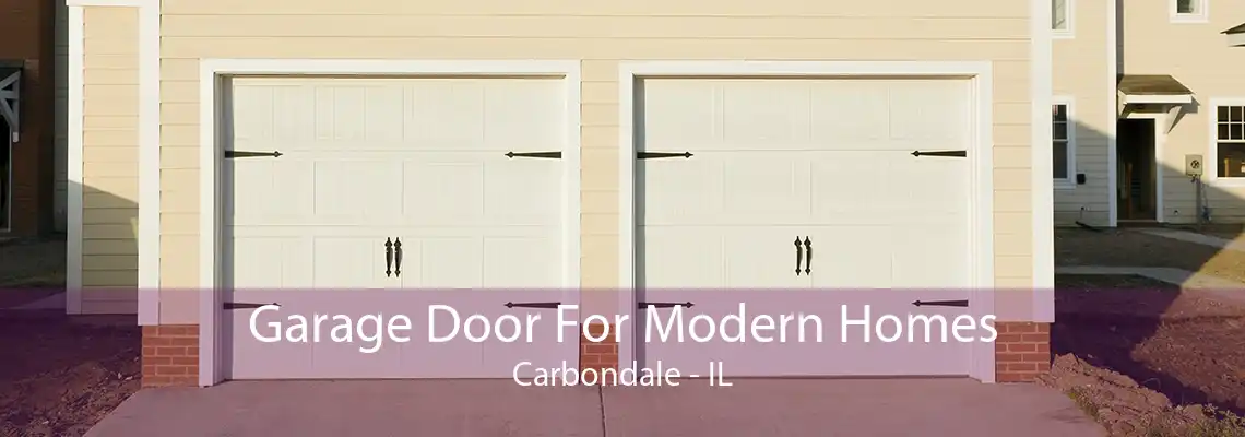 Garage Door For Modern Homes Carbondale - IL