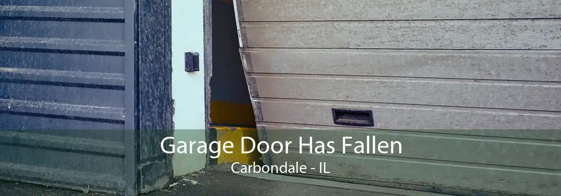 Garage Door Has Fallen Carbondale - IL