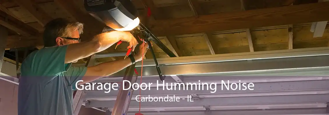 Garage Door Humming Noise Carbondale - IL