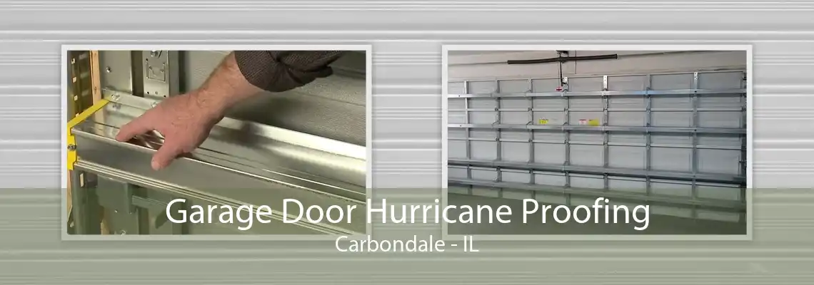 Garage Door Hurricane Proofing Carbondale - IL