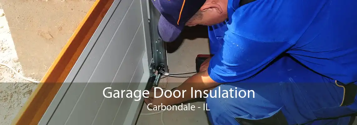 Garage Door Insulation Carbondale - IL