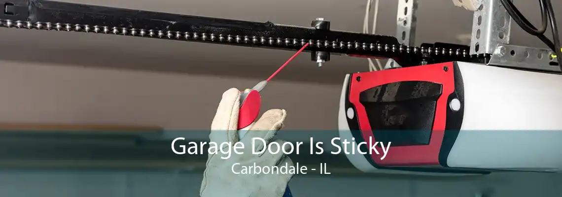 Garage Door Is Sticky Carbondale - IL