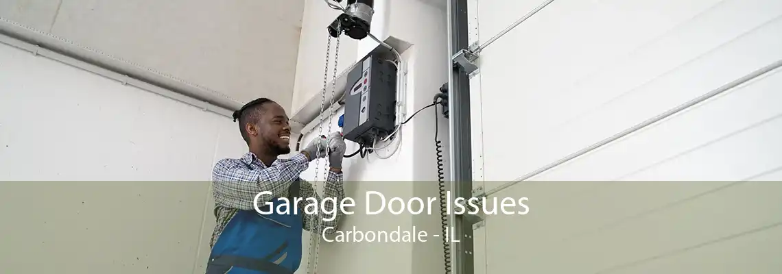 Garage Door Issues Carbondale - IL