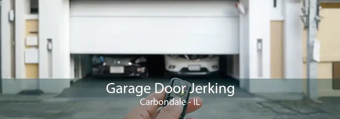 Garage Door Jerking Carbondale - IL