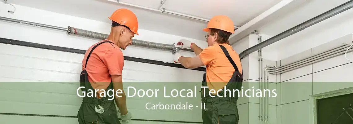 Garage Door Local Technicians Carbondale - IL