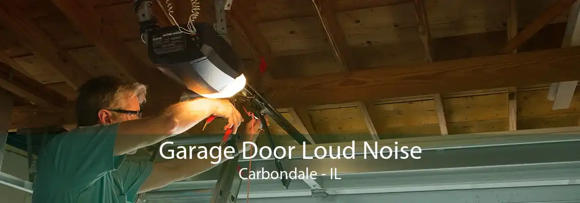 Garage Door Loud Noise Carbondale - IL