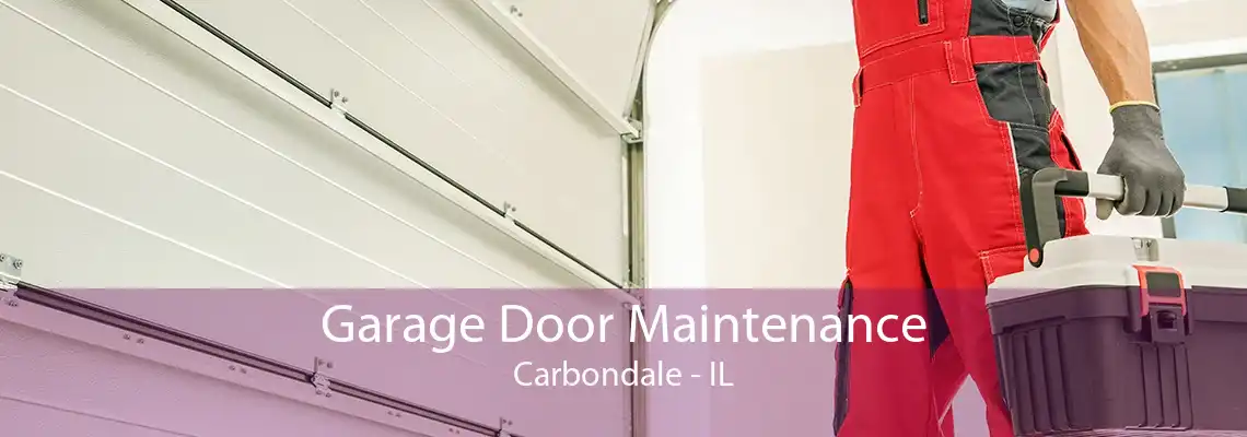 Garage Door Maintenance Carbondale - IL