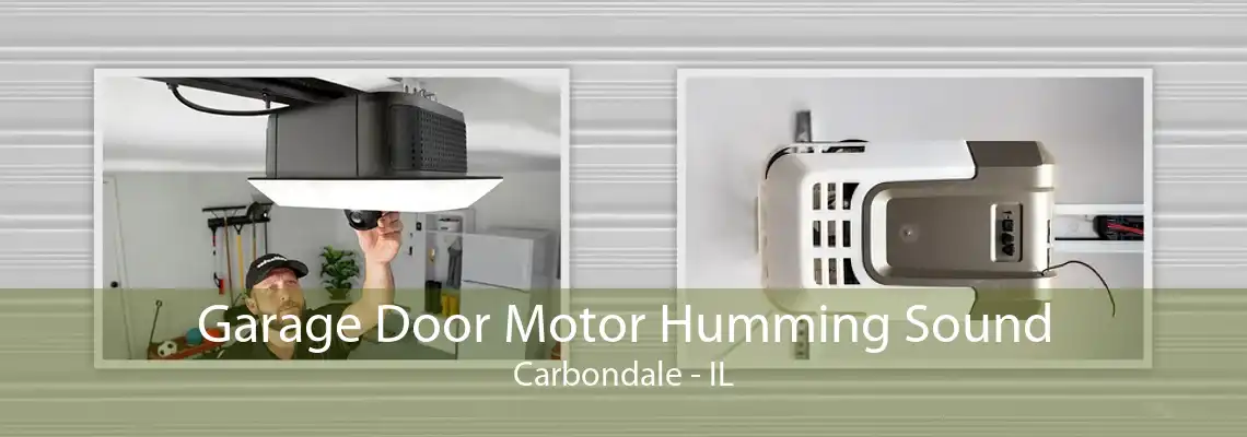 Garage Door Motor Humming Sound Carbondale - IL