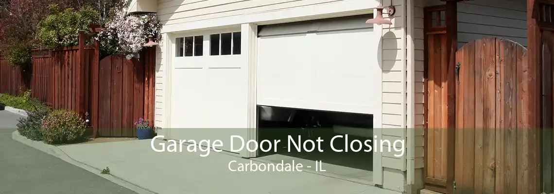 Garage Door Not Closing Carbondale - IL