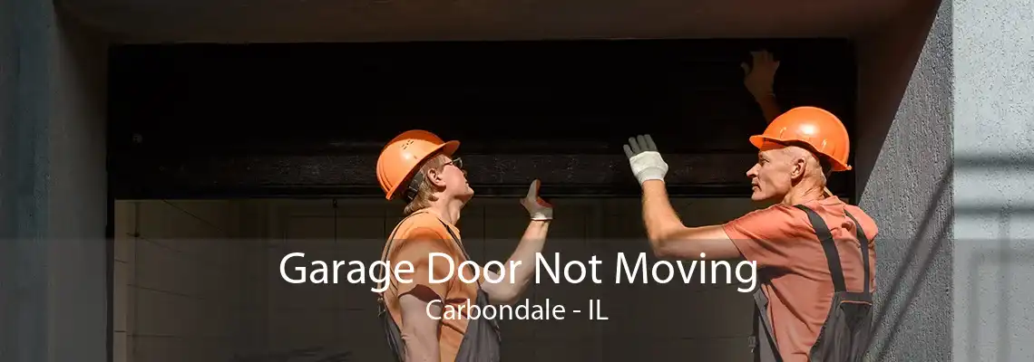 Garage Door Not Moving Carbondale - IL