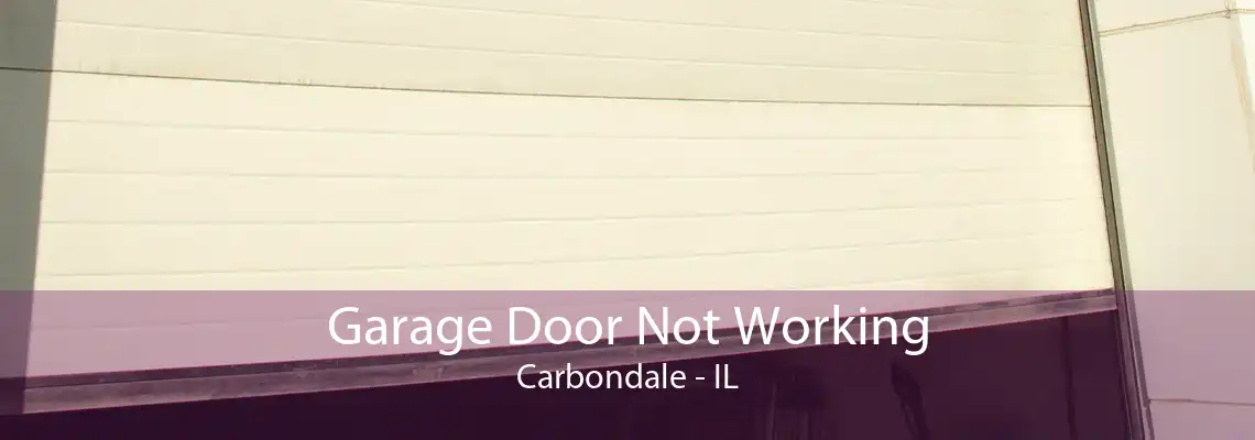 Garage Door Not Working Carbondale - IL