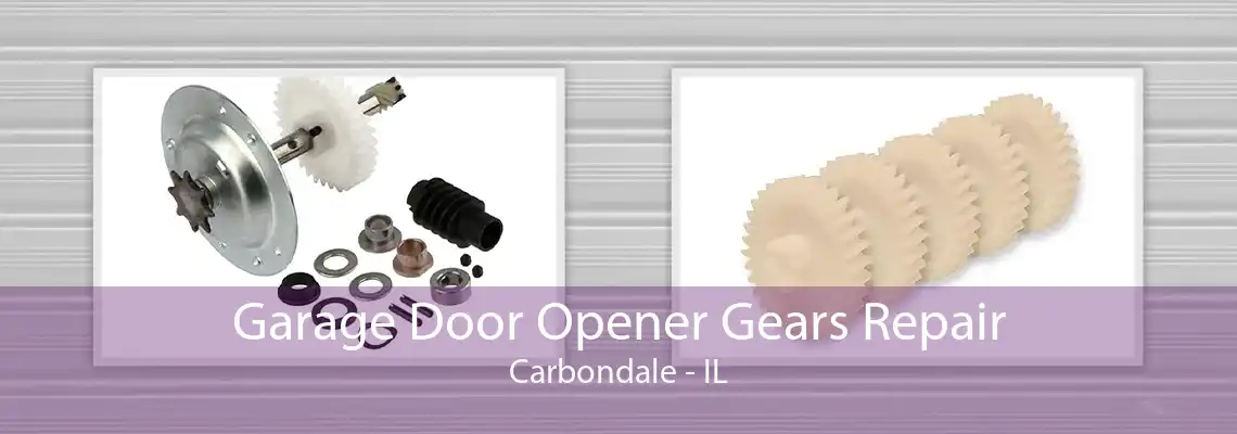 Garage Door Opener Gears Repair Carbondale - IL