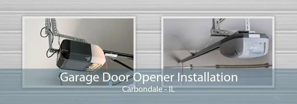 Garage Door Opener Installation Carbondale - IL