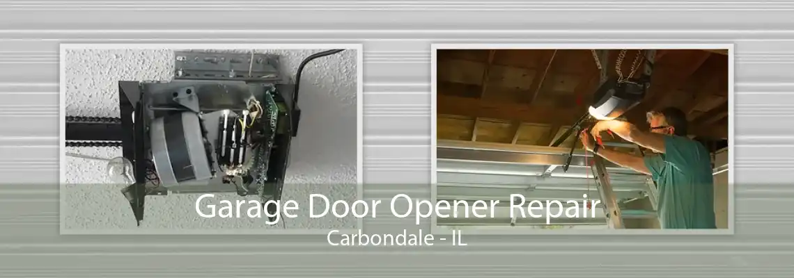 Garage Door Opener Repair Carbondale - IL