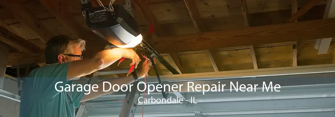 Garage Door Opener Repair Near Me Carbondale - IL