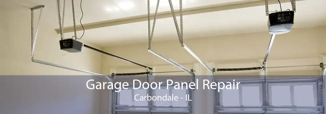 Garage Door Panel Repair Carbondale - IL