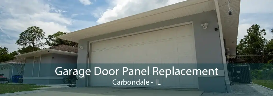 Garage Door Panel Replacement Carbondale - IL