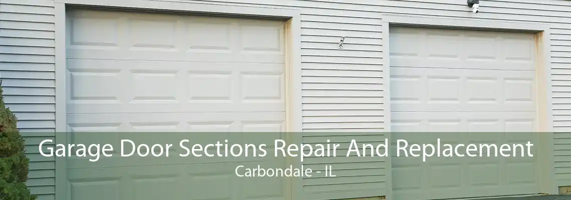 Garage Door Sections Repair And Replacement Carbondale - IL