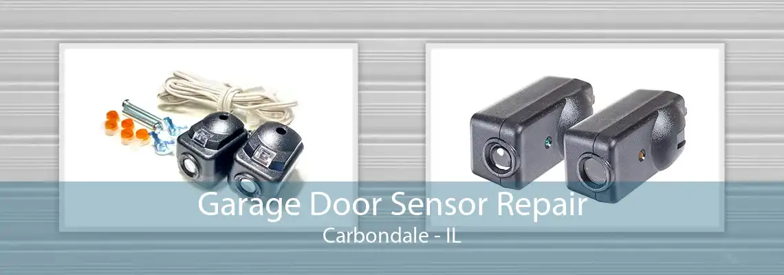 Garage Door Sensor Repair Carbondale - IL