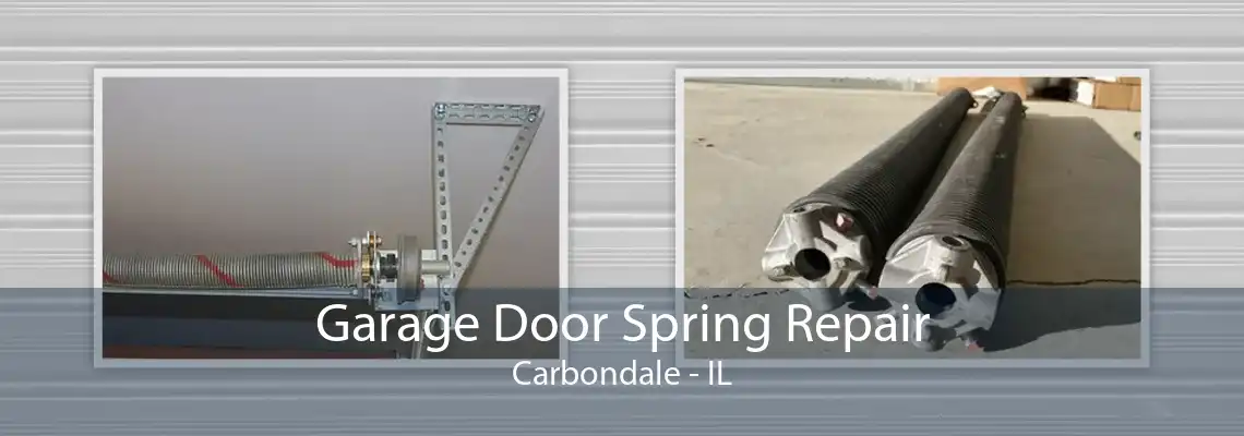 Garage Door Spring Repair Carbondale - IL