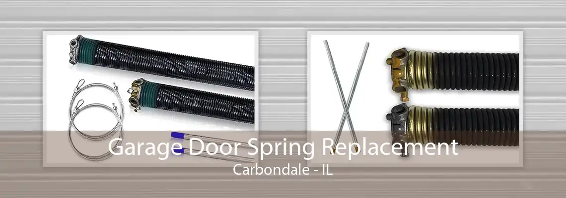 Garage Door Spring Replacement Carbondale - IL