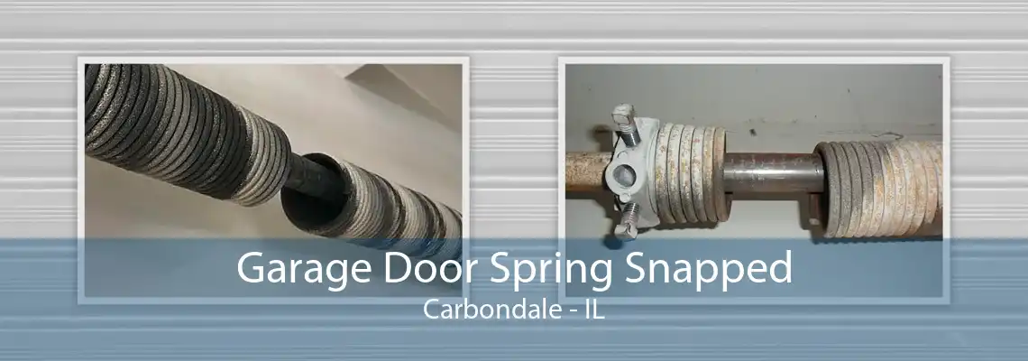 Garage Door Spring Snapped Carbondale - IL