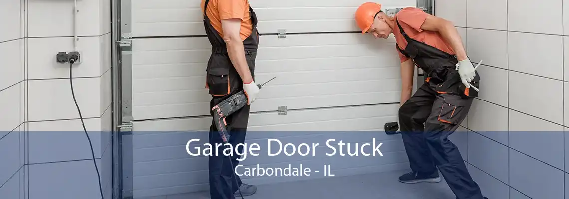 Garage Door Stuck Carbondale - IL