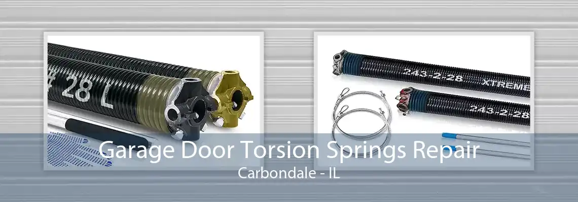 Garage Door Torsion Springs Repair Carbondale - IL