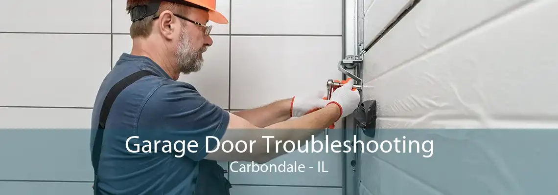 Garage Door Troubleshooting Carbondale - IL