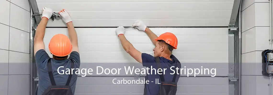 Garage Door Weather Stripping Carbondale - IL