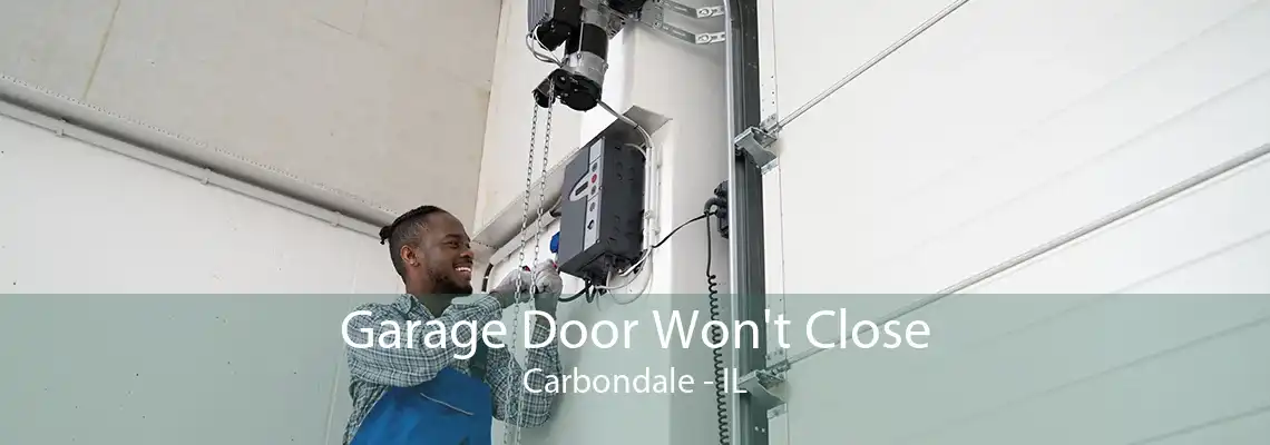 Garage Door Won't Close Carbondale - IL