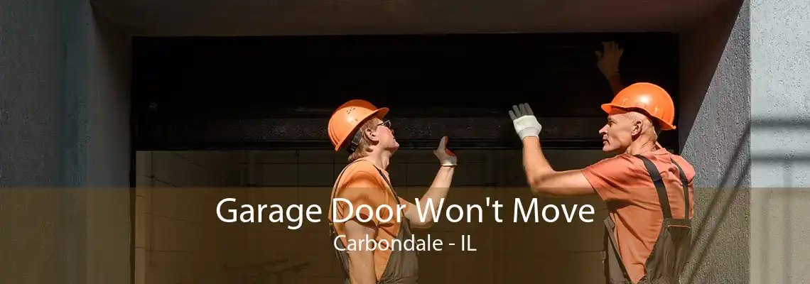 Garage Door Won't Move Carbondale - IL