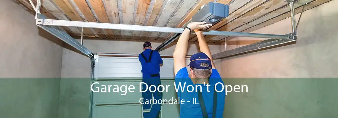 Garage Door Won't Open Carbondale - IL