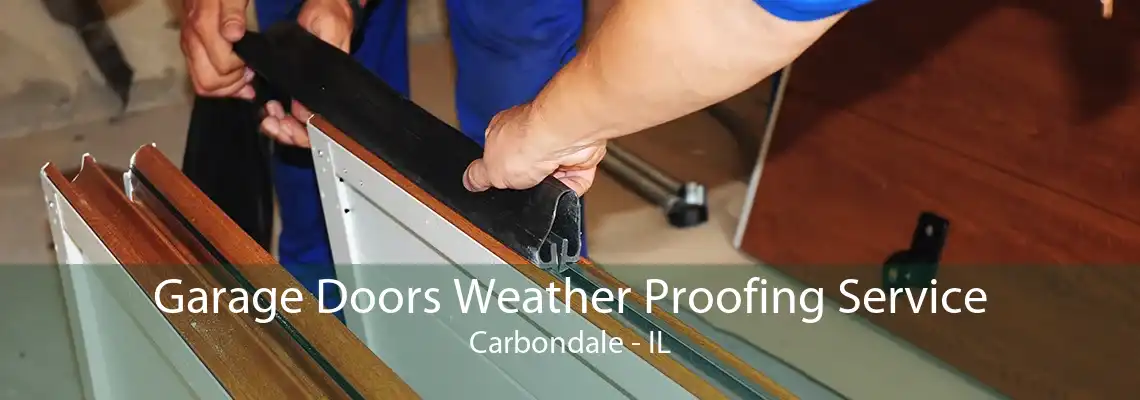 Garage Doors Weather Proofing Service Carbondale - IL