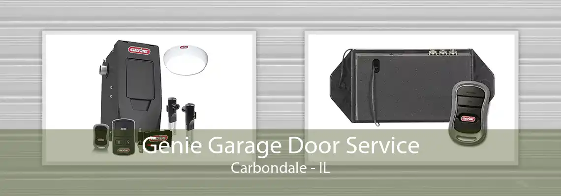 Genie Garage Door Service Carbondale - IL