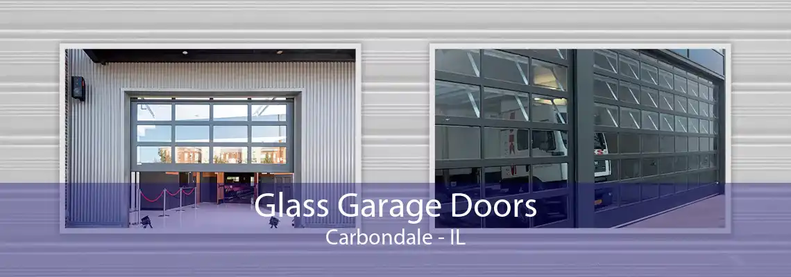 Glass Garage Doors Carbondale - IL