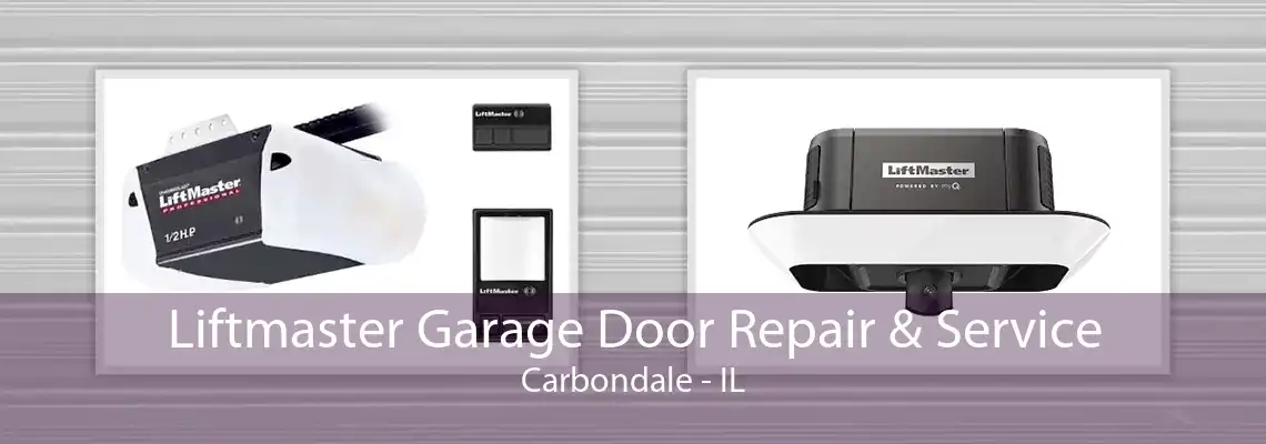 Liftmaster Garage Door Repair & Service Carbondale - IL