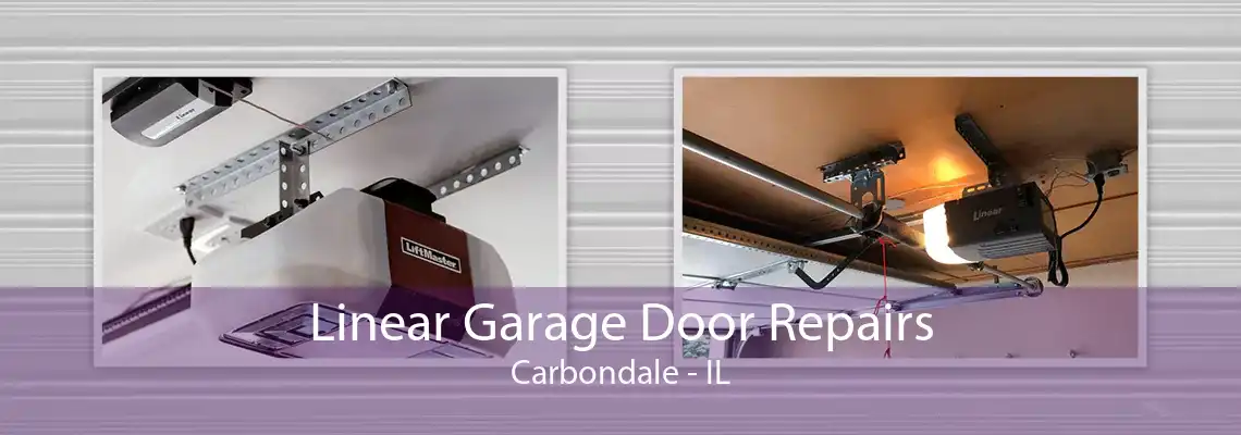 Linear Garage Door Repairs Carbondale - IL